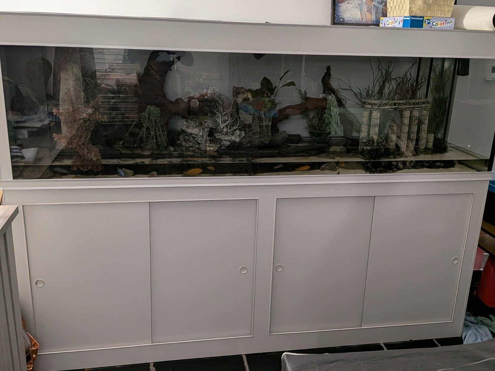 Aquarium of terrarium, Dieren en Toebehoren, Ophalen, Gebruikt, Terrarium of Paludarium