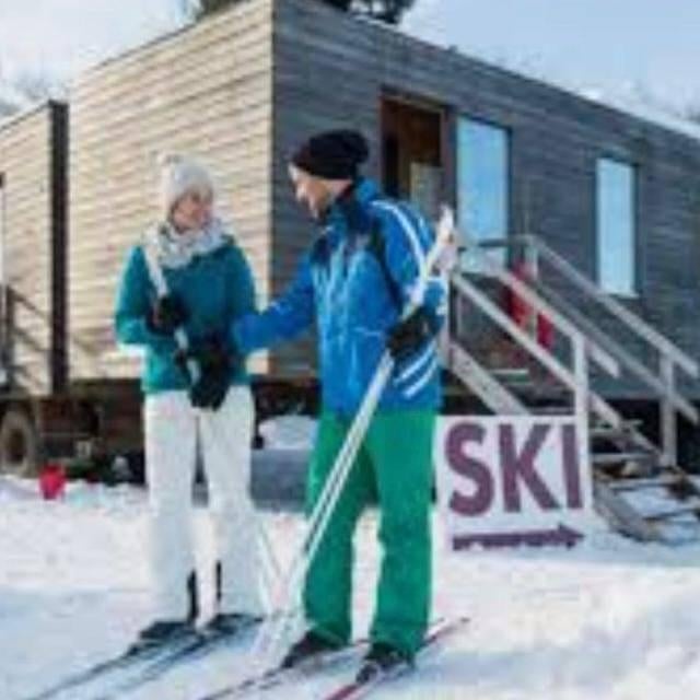 URGENT: 2 grands chalets en bois, Enlèvement, Utilisé