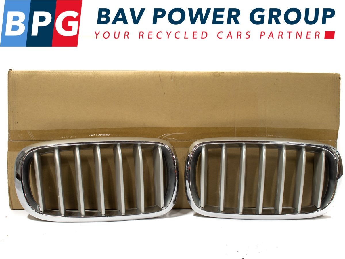 GRILLE SET ROOSTER NIEREN LINKS RECHTS BMW X5 (F15), Gebruikt, BMW, Petuelring 130
80809  München, DE, Bayerische Motoren Werke AG