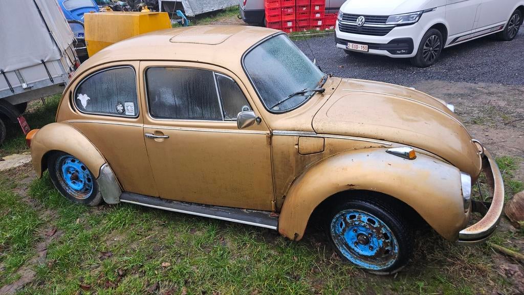 Vw coccinelle kever, Autos, Particulier, Achat, Volkswagen