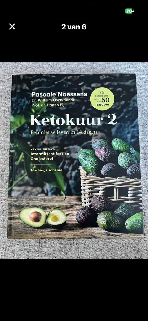 Ketokuur 2 pascale naessens, Ophalen, Zo goed als nieuw