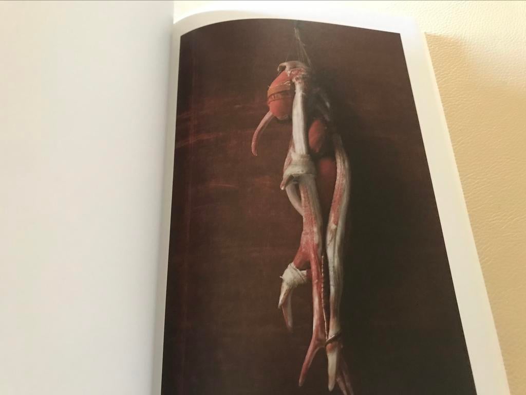 Berlinde De Bruyckere Philippe Vandenberg sculptures120pag, Boeken, Ophalen of Verzenden, Zo goed als nieuw, Schilder- en Tekenkunst