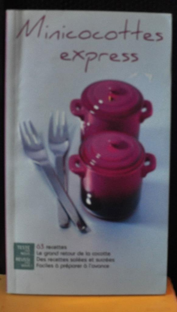 livre de recettes en mini cocottes salé et sucré (x2035), Enlèvement ou Envoi, Utilisé, Gâteau, Tarte, Pâtisserie et Desserts