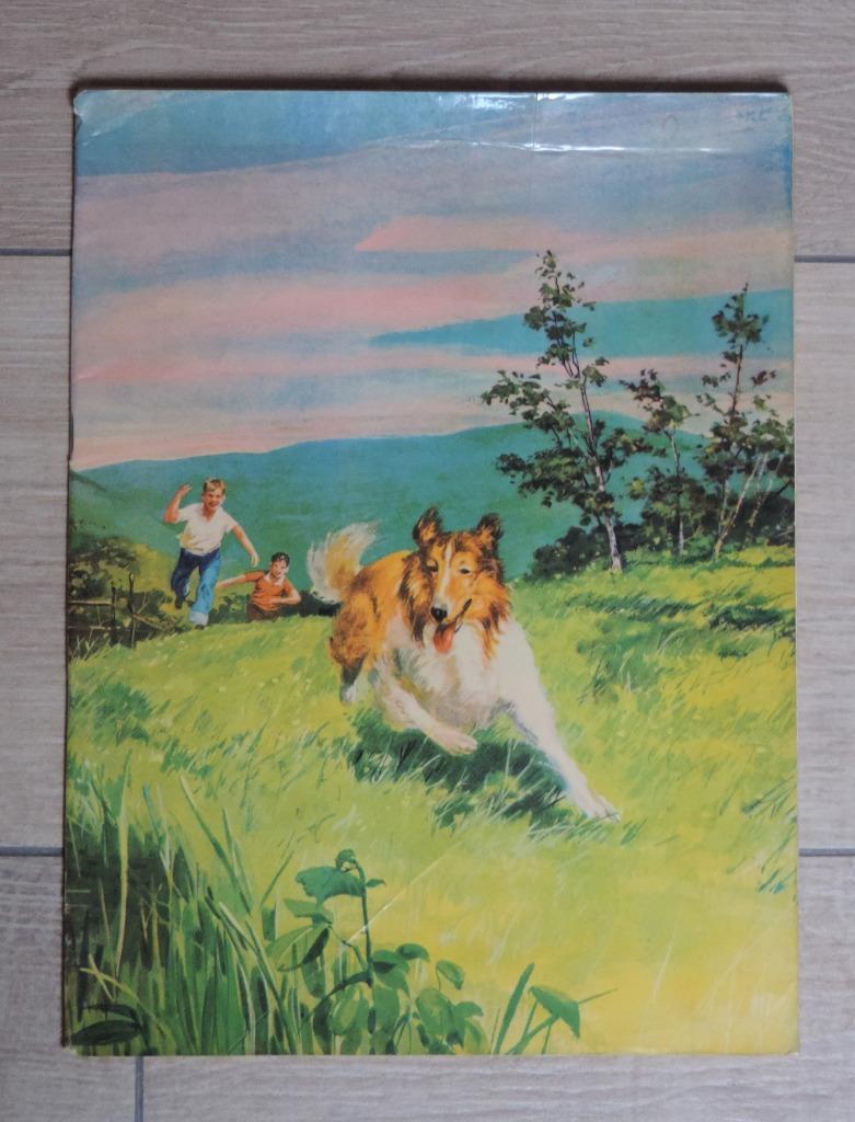 Lassie weet raad, Boeken, Ophalen of Verzenden