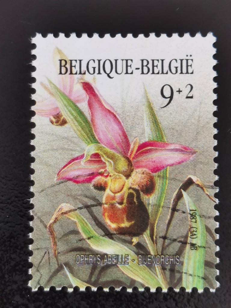 Belgique 1987 - fleurs - orchidée abeille - avec surcharge, Enlèvement ou Envoi, Affranchi