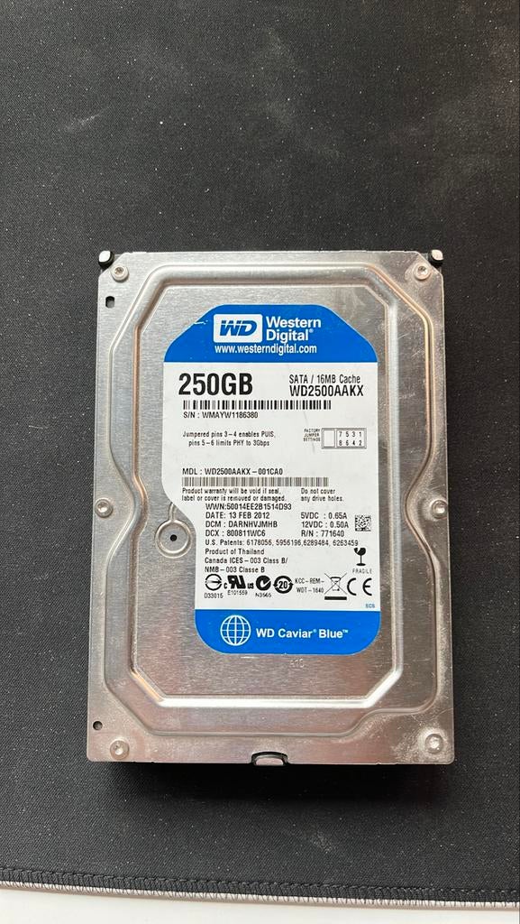 250GB Western Digital Caviar Blue harde schijf, Computers en Software, Harde schijven, Intern, Nieuw, 250 GB, Desktop