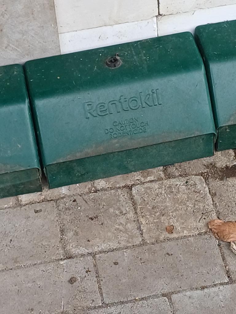 Rentokil rattenvallen, December, Rat