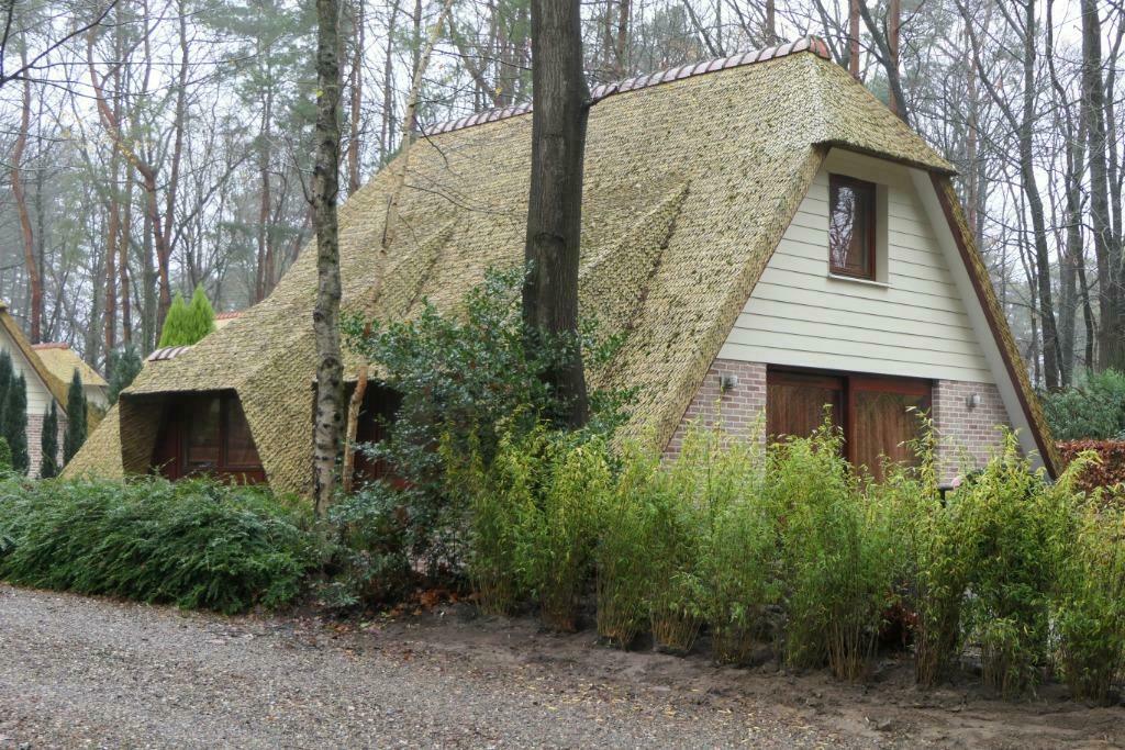 Onthaasten in Belgisch Limburg, Vakantie, Afwasmachine, Limburg of Luik, Aan meer of rivier, Recreatiepark