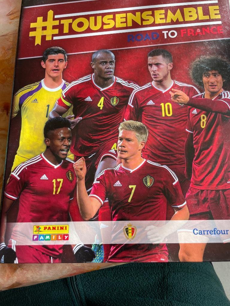 Stickeralbum van Panini/Carrefour Road to France, Verzamelen, Overige supermarkten, Ophalen of Verzenden