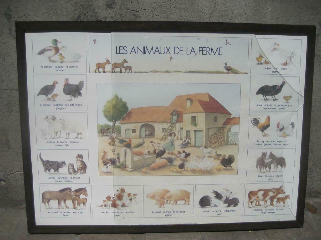 Tableau d’école ancien « Les animaux de la ferme », Enlèvement