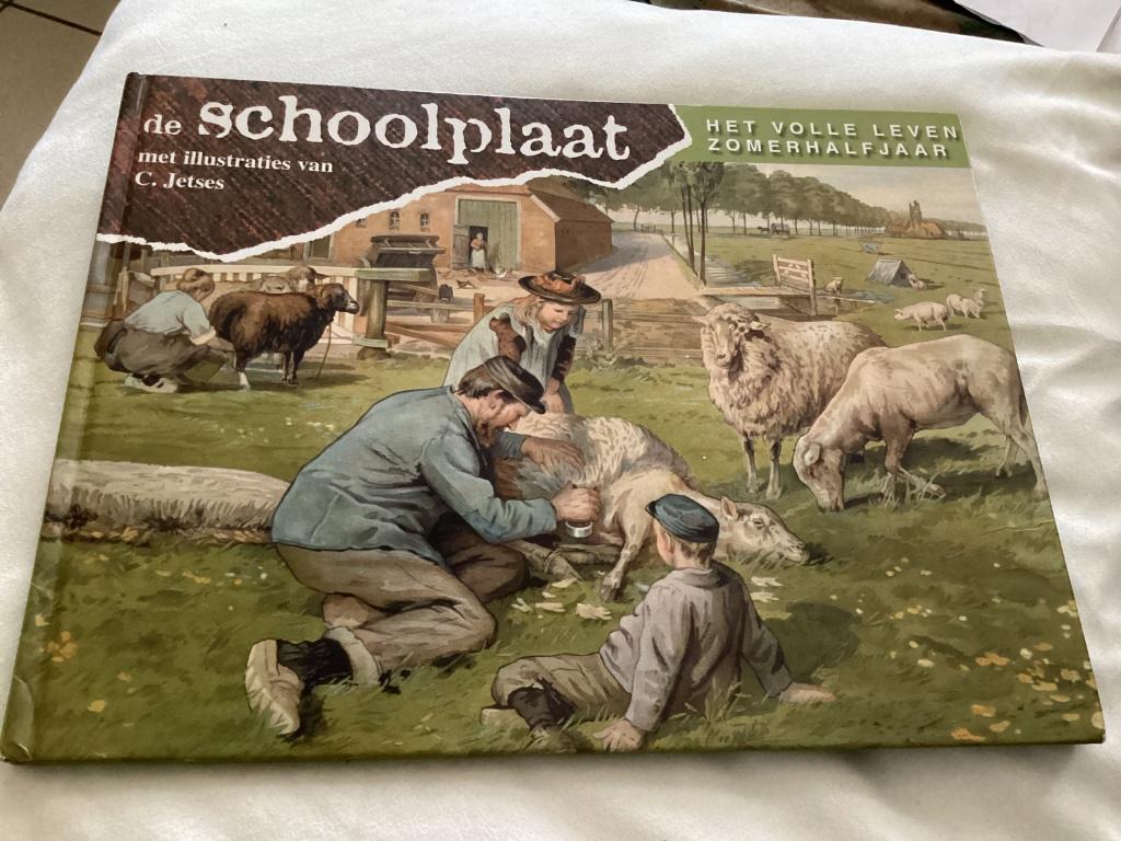 De Schoolplaat - Het volle leven - Zomerhalfjaar, Enlèvement ou Envoi