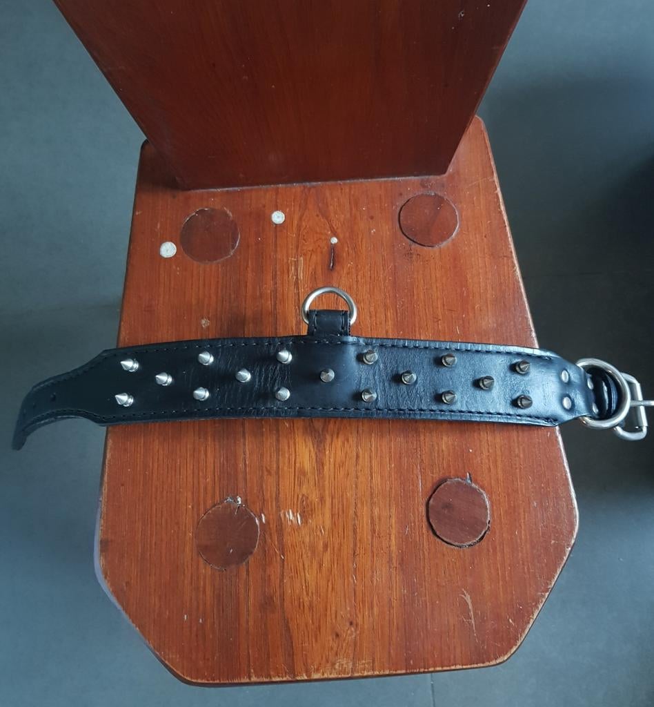 Halsband leer met spikes. Nieuwstaat. Gratis verzending., Dieren en Toebehoren, Ophalen of Verzenden, Zo goed als nieuw, Hondenriem