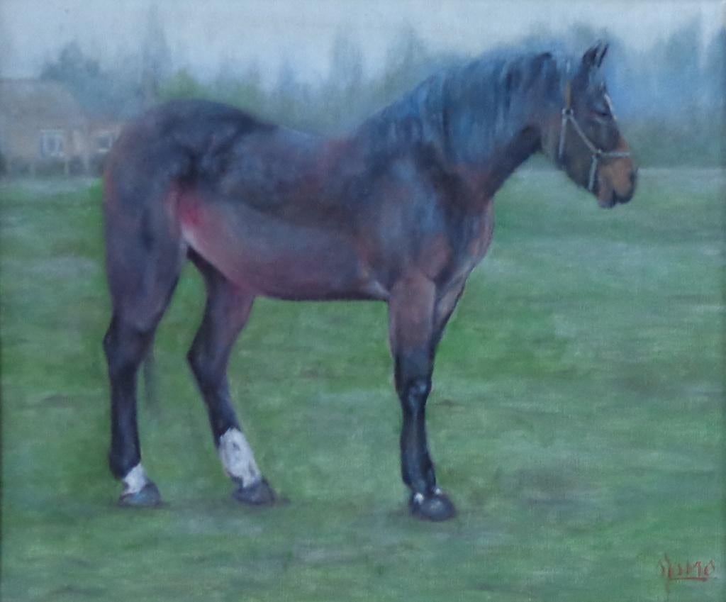 O. JOMO / PAARD IN DE WEIDE / OLIEVERF / 65x75x6cm / KADER, Enlèvement, Signé, Peinture à l'huile, Toile