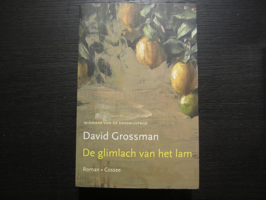 De glimlach van het lam  -David Grossman-, Ophalen of Verzenden