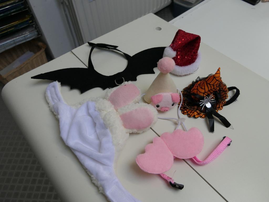 poesverkleedgerief, Dieren en Toebehoren, Katten-accessoires, Ophalen, Nieuw