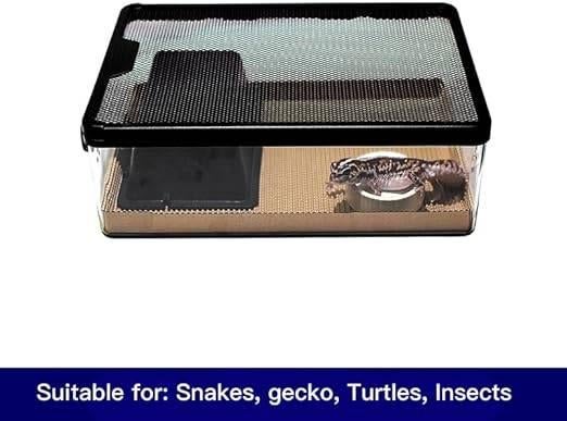 Mini terrarium | 32 x 22 x 10 cm | LIVRAISON GRATUITE, Neuf, YZHZOM, -, -