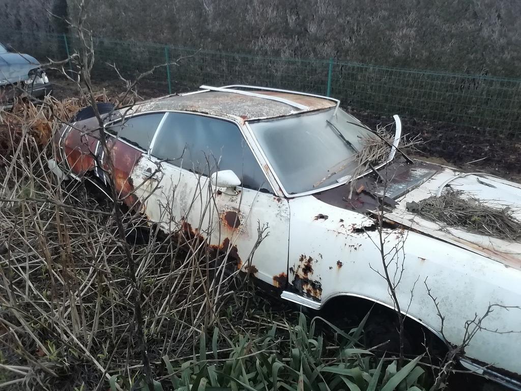 Mustang ramen, Autos, Ford USA, Achat, Mustang