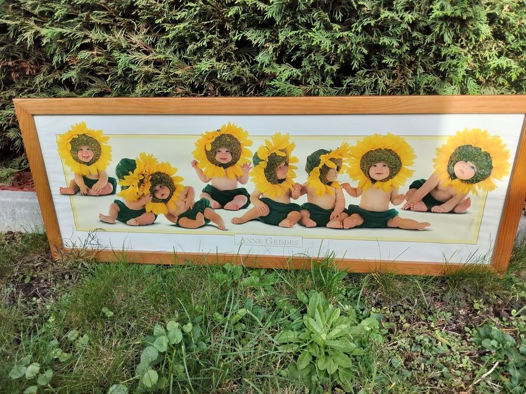 Anne Geddes kader van 96 breed/ 35 hoog, Ophalen, Zo goed als nieuw