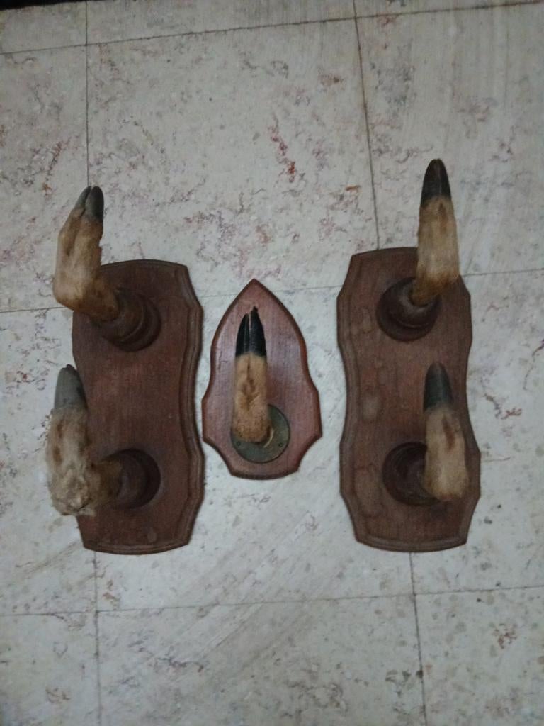 Ancien porte manteau en pied de biche véritable, Enlèvement ou Envoi