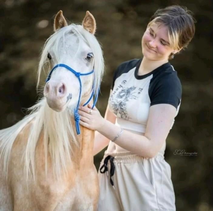 Verzorger gezocht, Met stamboom, Ruin, Niet van toepassing, 3 tot 6 jaar