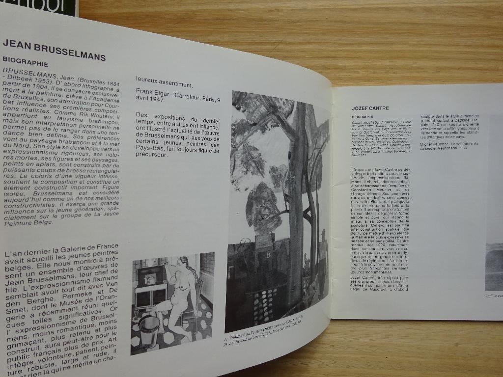Art Flamand Moderne d'Ensor à Permeke 1980 Paris, Boeken, Kunst en Cultuur | Beeldend, Ophalen of Verzenden, Gelezen, Schilder- en Tekenkunst