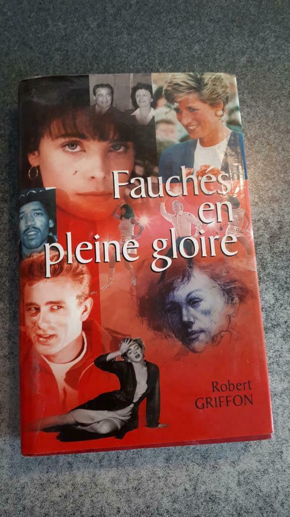 Fauches en pleine gloire, Ophalen of Verzenden, Gelezen
