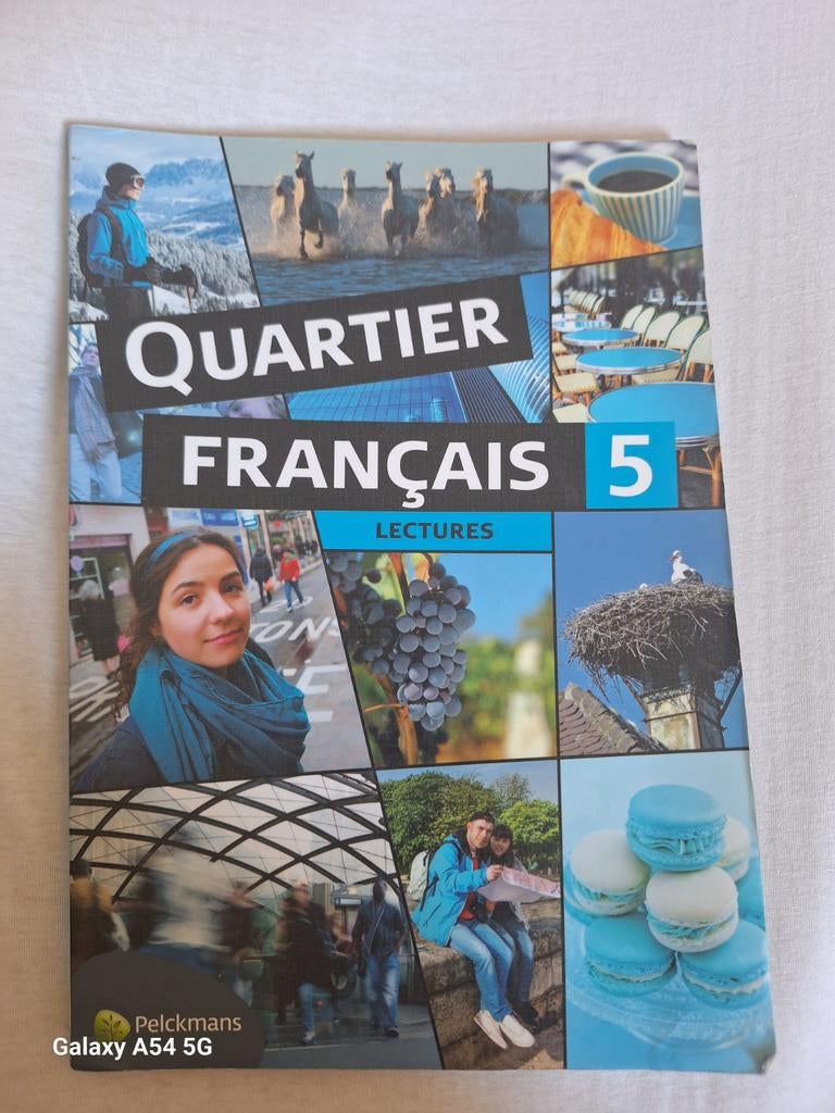 Quartier français lectures 5 - Frans, Boeken, Frans, ASO, Pelckmans, Ophalen