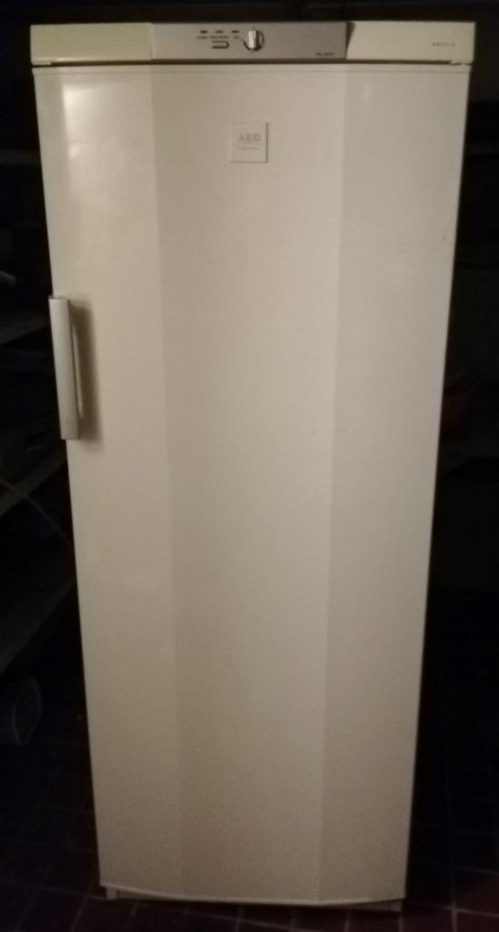 Oud, maar nog steeds koud, 160 cm ou plus, Enlèvement, Utilisé, 200 litres ou plus
