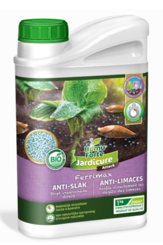 TEKOOP   SLAKKENKORRELS  OP VOORRAAD  1 KG     20 EURO, Tuin en Terras, Planten | Tuinplanten, Volle zon, Vaste plant, Bloeit niet
