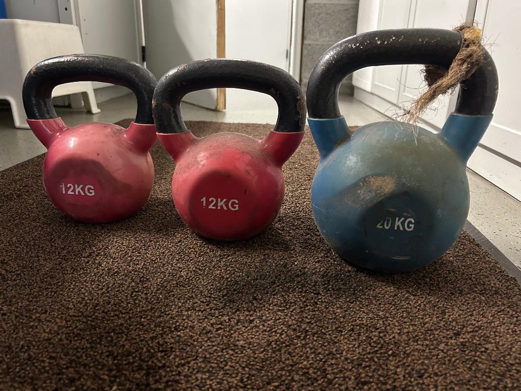 Lots de 3 Poids, Sport en Fitness, Overige Sport en Fitness, Ophalen, Gebruikt