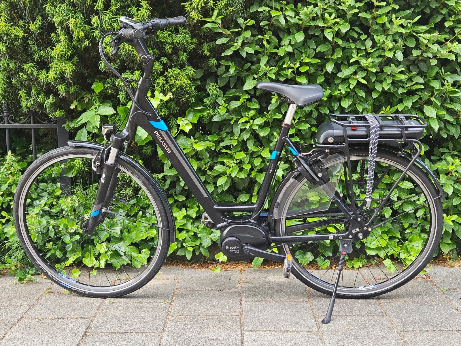 Pegasus Ravenna E8F Belt 2020 Bosch Active+ motor/D55/400w, 55 tot 59 cm, Ophalen, Zo goed als nieuw, 50 km per accu of meer