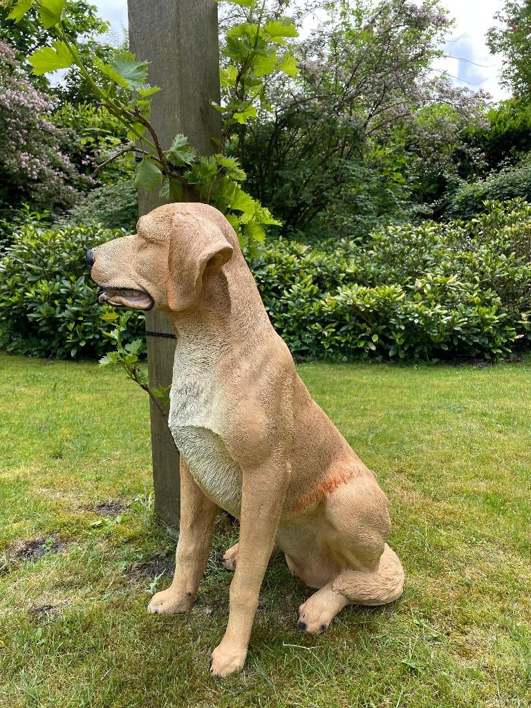 Golden Retriever, dieren, tuin, vijver  80cm, Tuin en Terras, Tuinbeelden, Ophalen, Nieuw, Kunststof, Dierenbeeld