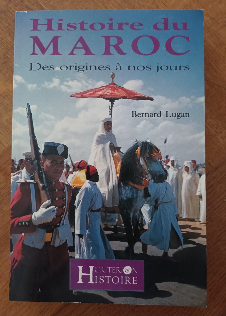 Histoire du Maroc, des origines à nos jours, très bon état, Livres, Enlèvement ou Envoi, Comme neuf, Bernard Lugan
