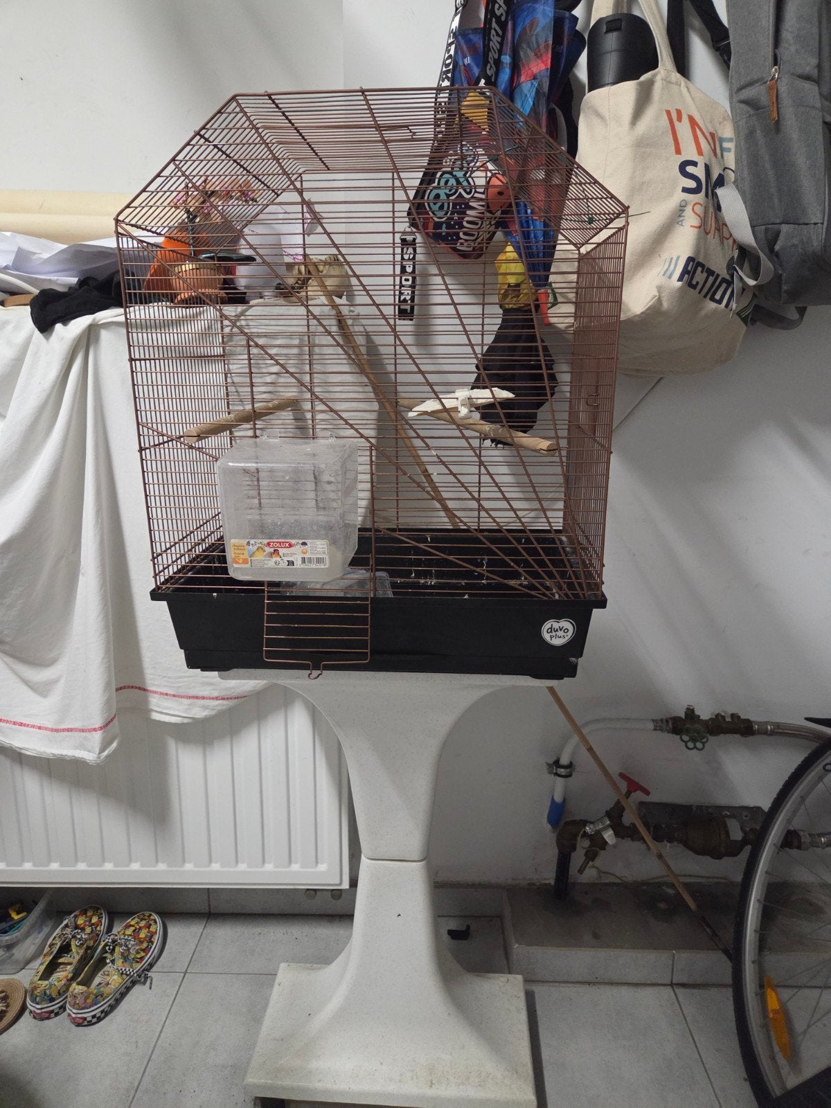 Cage canaris, Enlèvement
