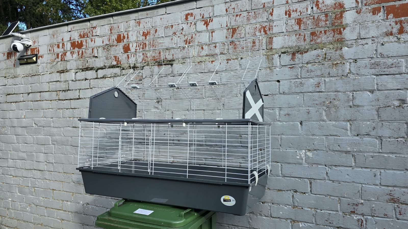 Knaagdierhok, Ophalen, Gebruikt, Hok, Cavia