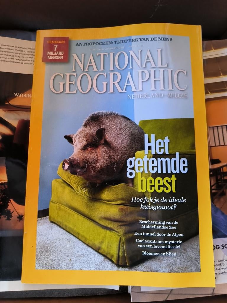 Collectie national Geographic boeken, Boeken, Tijdschriften en Kranten, Ophalen