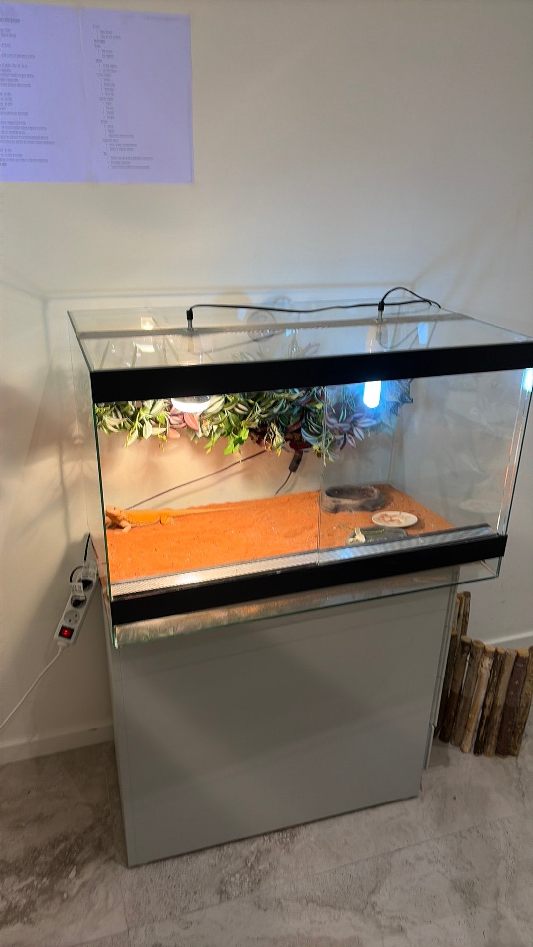 Terarium, Enlèvement, Comme neuf