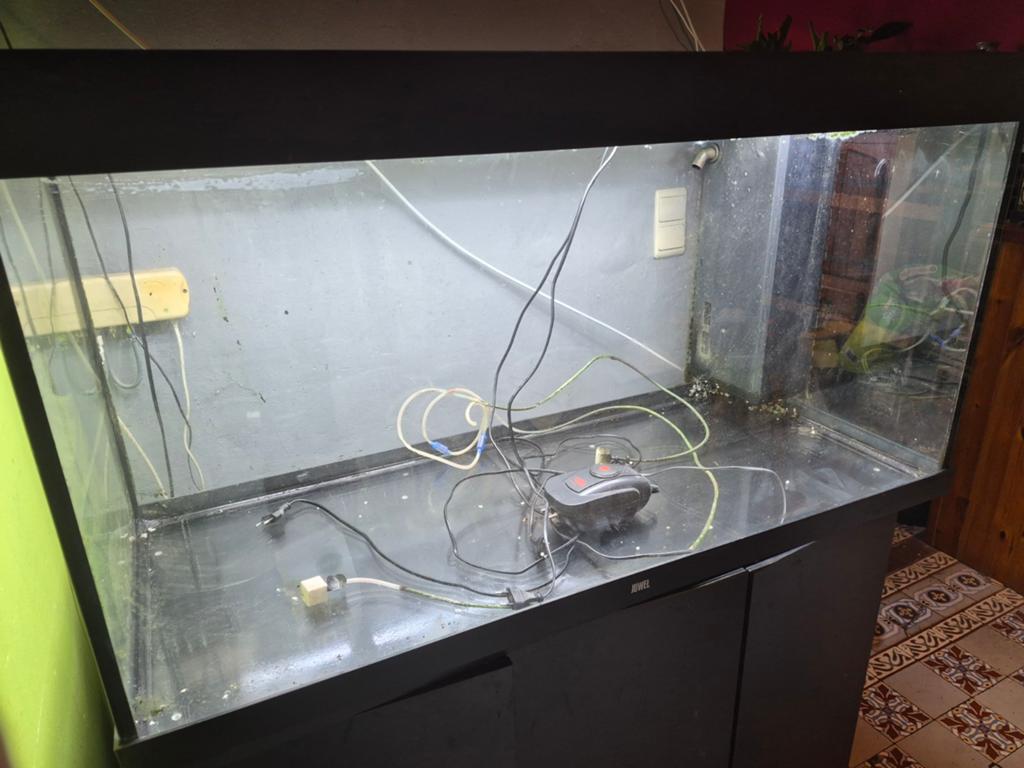Aquarium juwel Rio 350 état impeccable peut servi, Chauffage, Juwel