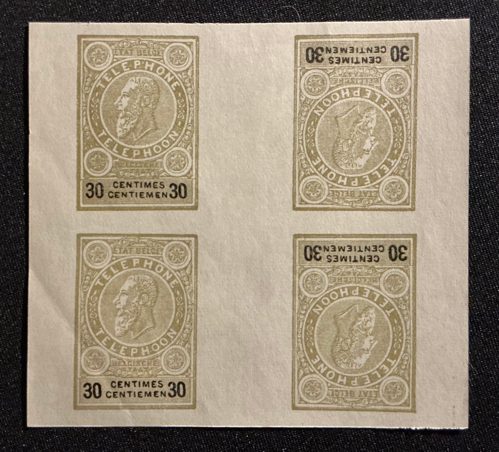 LOT 509. COB: TE30. ND. bloc/panneau intermédiaire. Proof., Enlèvement ou Envoi, Non oblitéré, Maison royale