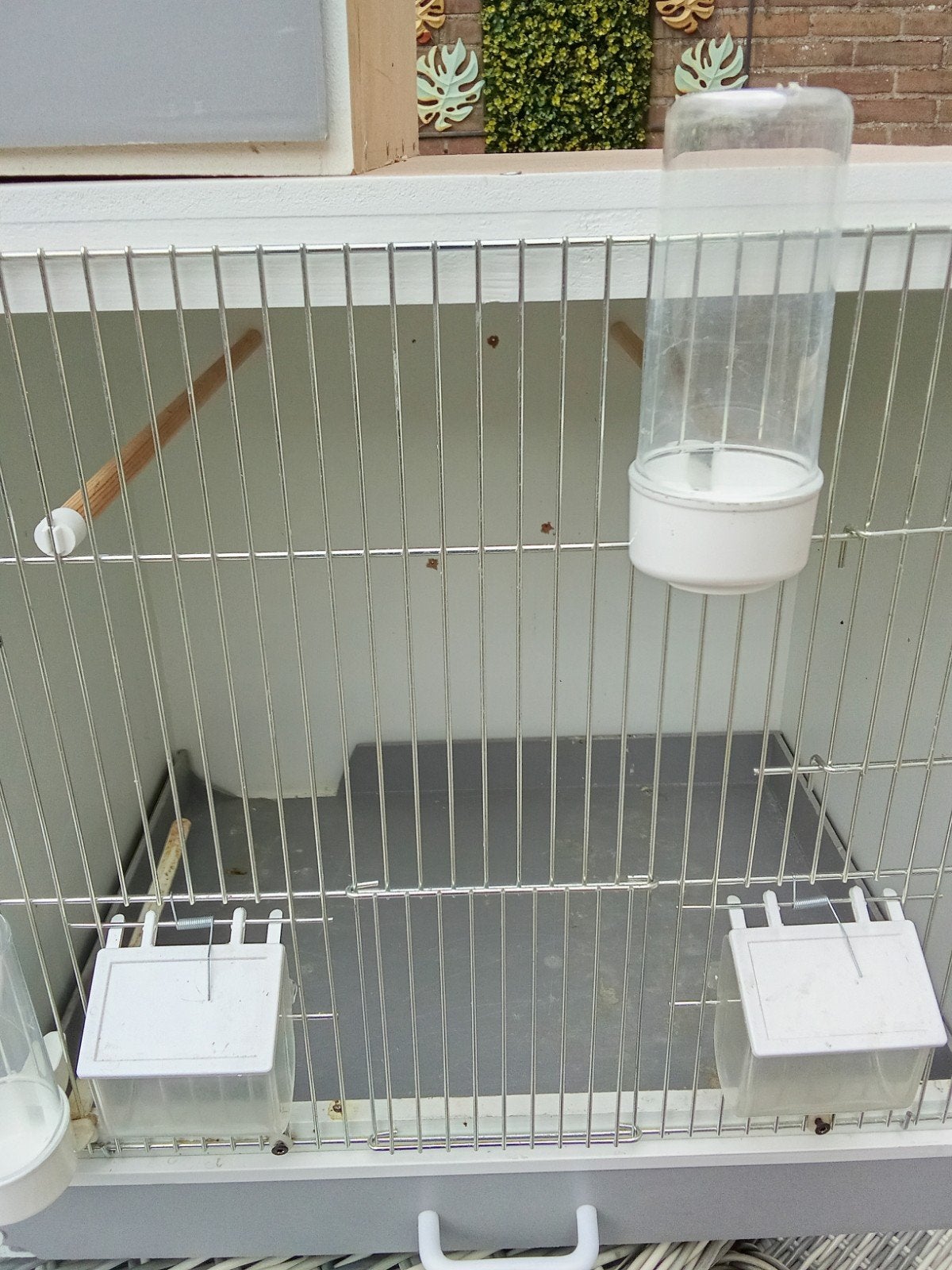 te koop 3 kweekkooien, Ophalen, Hout