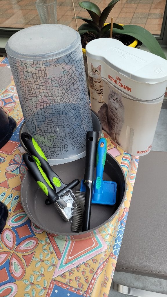 Drinkbak voor katten, Enlèvement, Utilisé