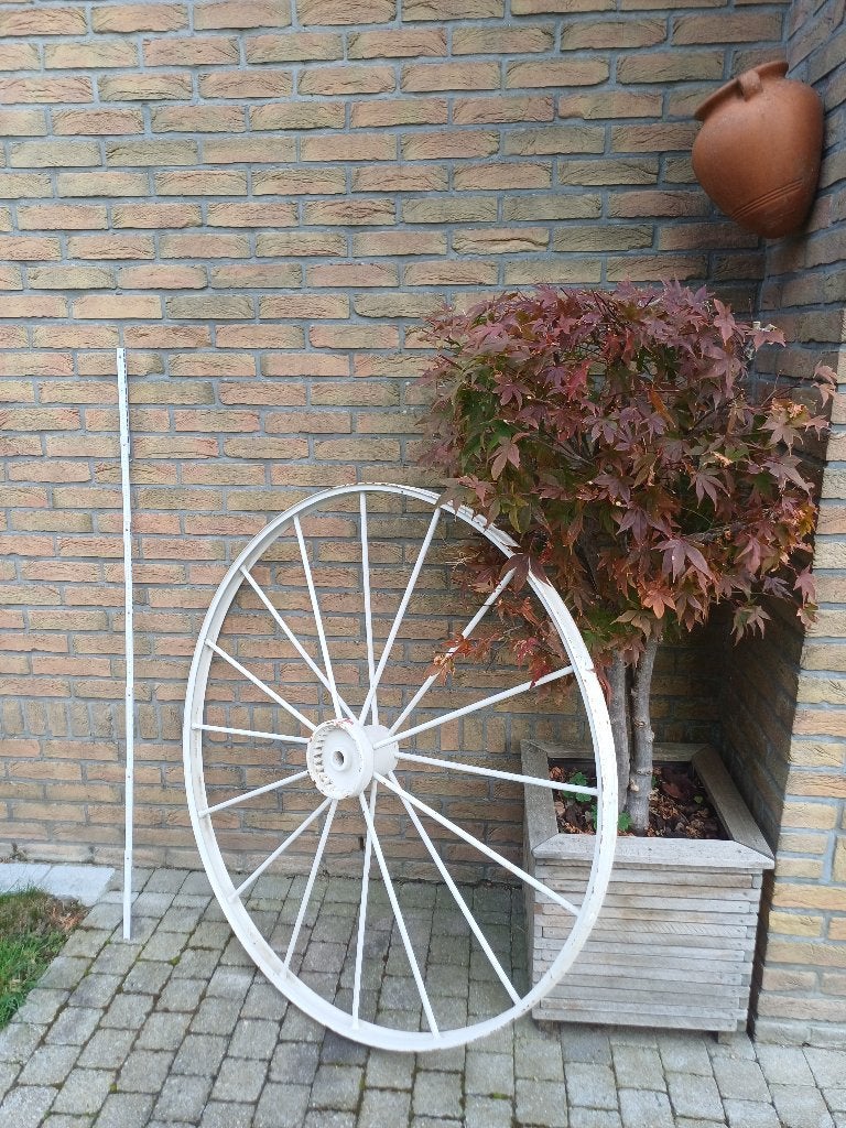Tuindecoratie, Tuin en Terras, Ophalen