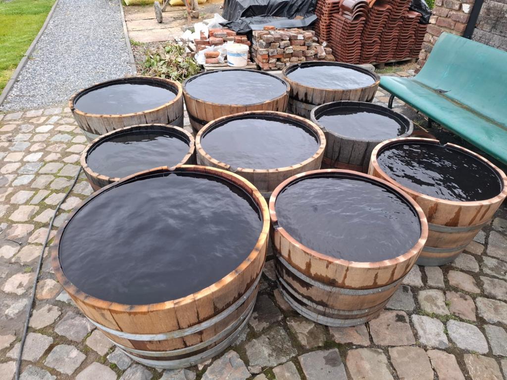 Tonneaux à vin Half OAK 110l à 225l comme bassin de terrasse, Enlèvement