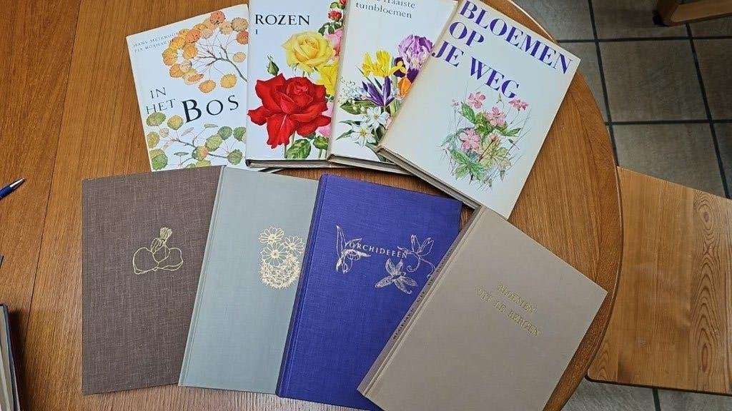 Vinted Artis - Historia boeken uitgaven tussen 1944 en 1968, Enlèvement