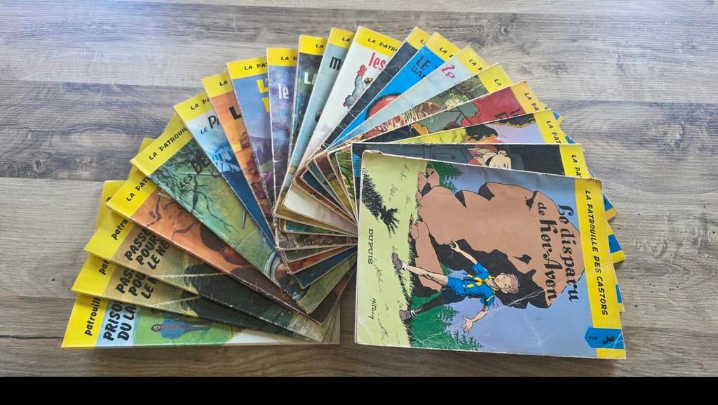 “Lot 21 BD La Patrouille des Castors, Livres, Enlèvement