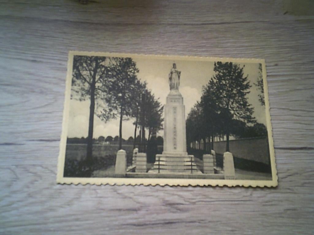 WESTMALLE: Cisterciënzer Abdij, Het beeld van Kristus-Koning, Verzamelen, Ophalen of Verzenden, Voor 1920, Gelopen, Antwerpen