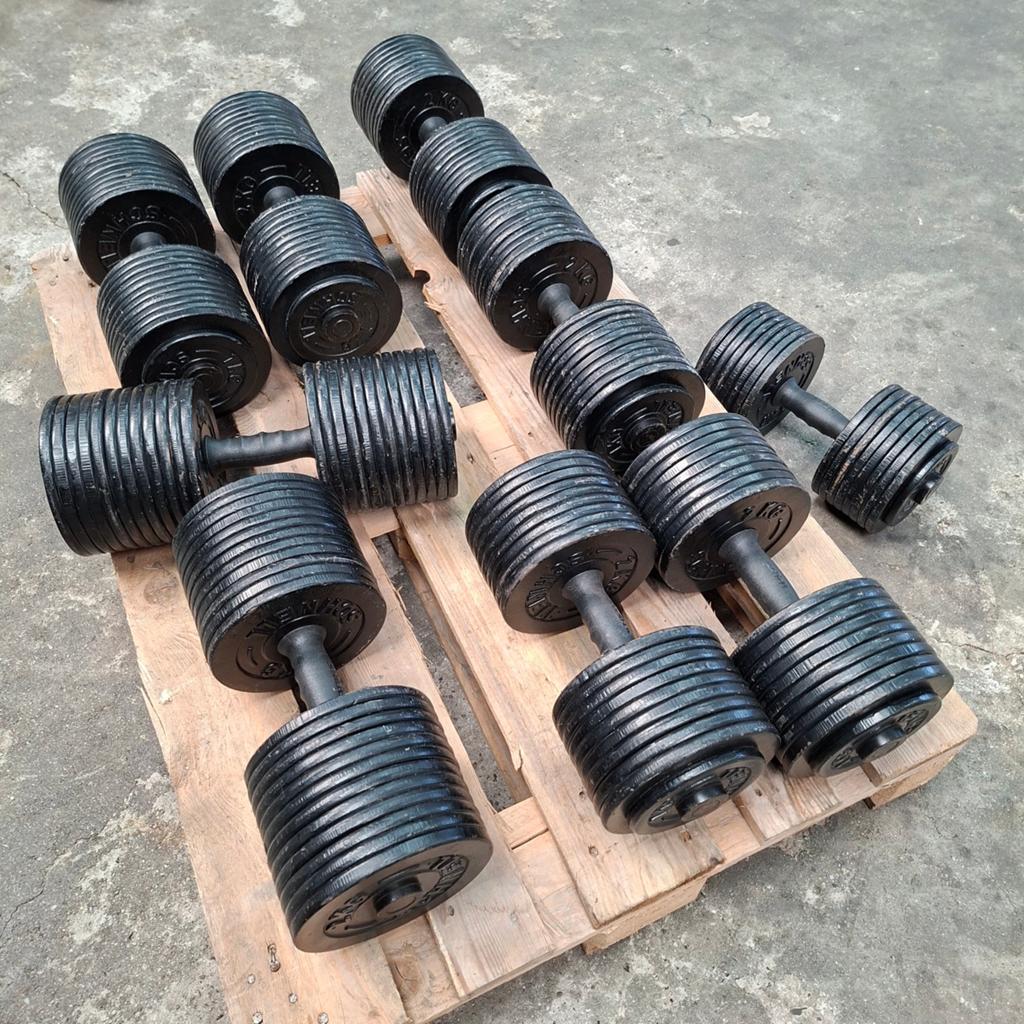 Schnell Dumbells Set  40 , 44 , 48 , 50 kilo, Sport en Fitness, Ophalen