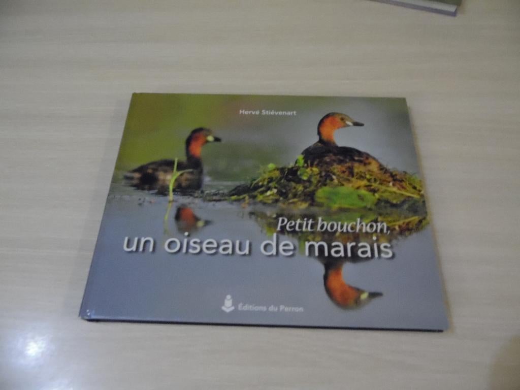 PETIT BOUCHON, UN OISEAU DE MARAIS     NEUF, Neuf, Enlèvement ou Envoi, Oiseaux, Hervé Stiévenart