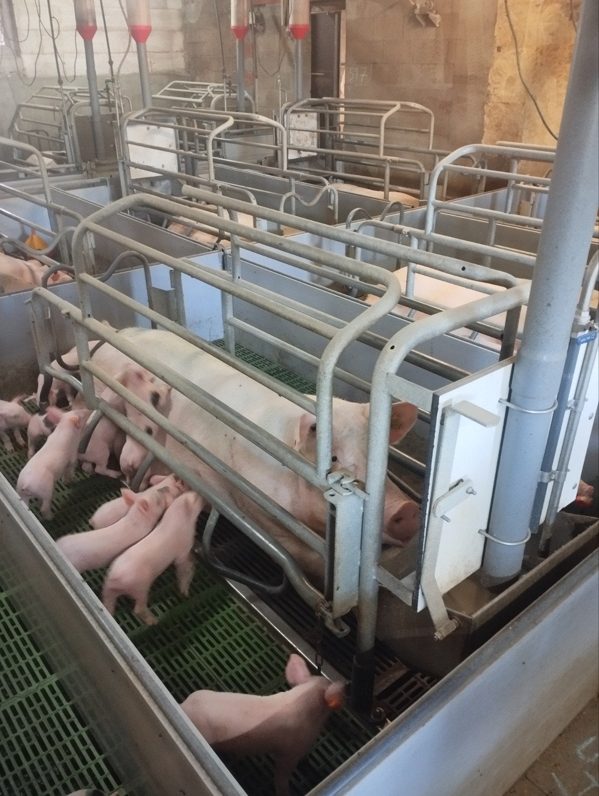 kraamstal, voedereing, inweekleiding, vloerverwarming,...