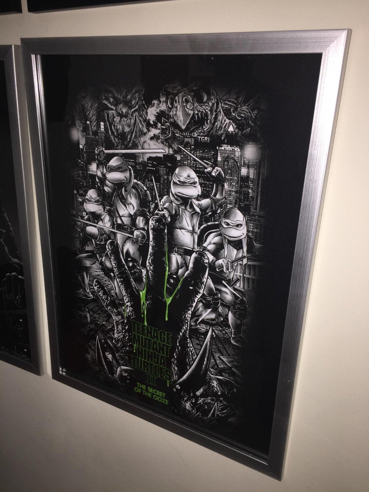 teenage mutant ninja turtles, Ophalen of Verzenden